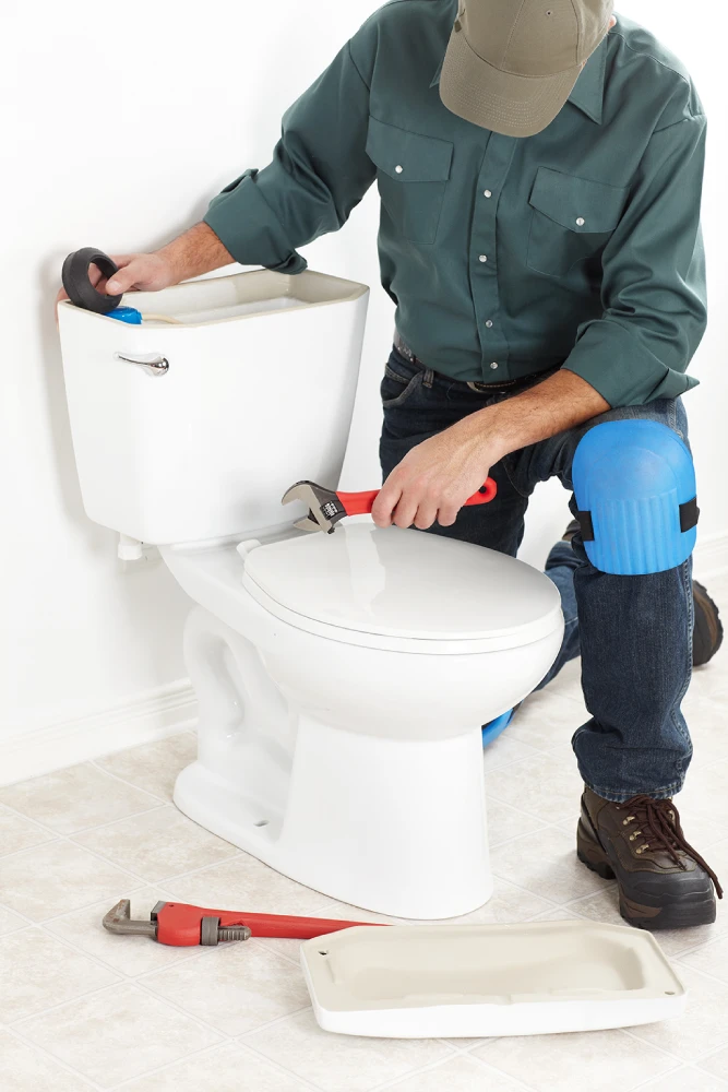 Professional Toilet Repair Services