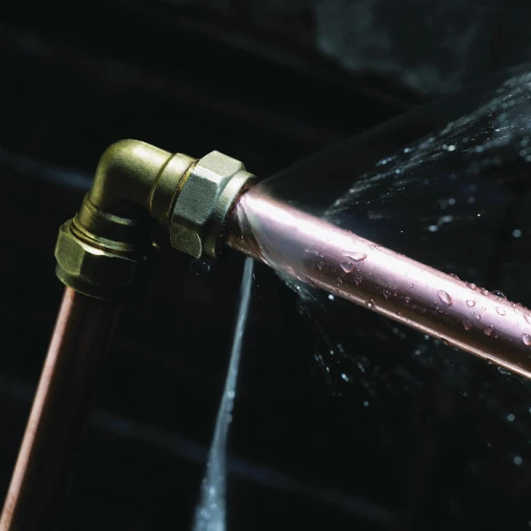 Schedule Your Water Leak Detection Service Today